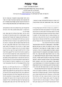 תמונה ממוזערת של אור שמח על הרמב"ם המבואר